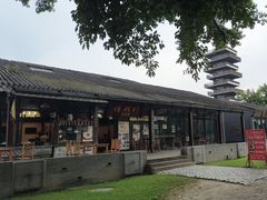 -巧姑传