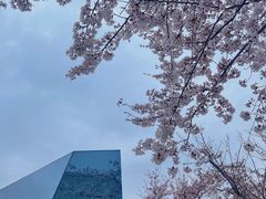 -龙美术馆(西岸馆)