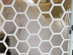 -宠颐生猫科·内科皮肤科(西平世纪城店)