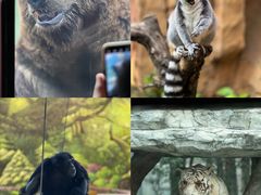 -北京野生动物园