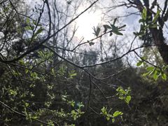 -叠溪松坪沟景区