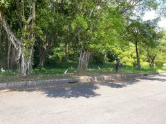 -福建鲤鱼洲酒店