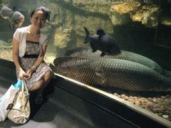 -迪拜水族馆及水下动物园