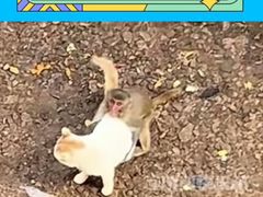 -昆明动物园