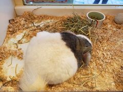 -龙猫仔乐园(惠福东路店)