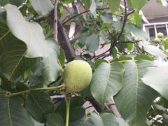 -宾朋海鲜特色美食餐厅·纯手工鲅鱼水饺(兴海路店)