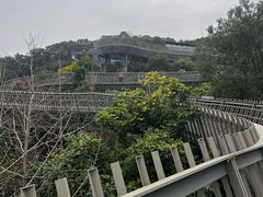 -福道