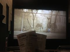 -武汉华夏国际影城(鲁广店)