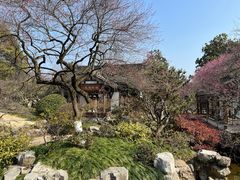 -杭州植物园