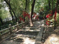 -灵岩山风景区