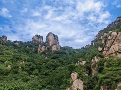 -大岭沟猕猴桃谷风景区