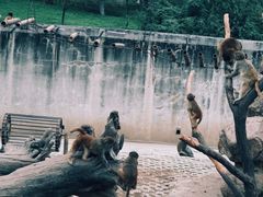 -西安秦岭野生动物园