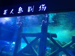-临沂极地海洋王国