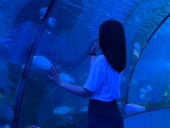 -泉城欧乐堡海洋极地世界