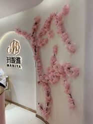 -玛妮雅科技纤体美容