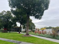 -养云安缦吧THE BAR