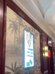 -南京医科大学友谊整形外科医院