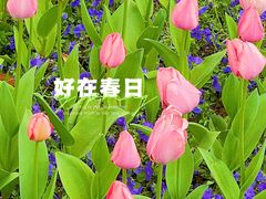 -东平国家森林公园