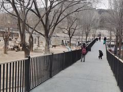 -石家庄极地海洋世界