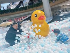 -月星环球港赢在起点早教中心·亲子托班早教体验课儿童兴趣班逻辑思维专注力幼小衔接(普陀中心)
