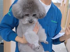 -瑞派名望24h动物医院异宠专科·猫专科·骨科·重症监护分院