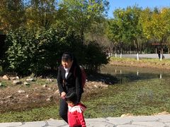 -东郊湿地公园