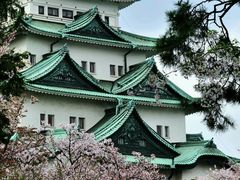 -名古屋城