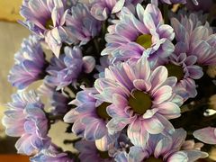 -循礼门鲜花花市(武汉循礼门店)