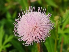 -美丽心情蛋糕(江苏路店)