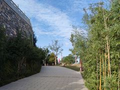 -象山森林公园