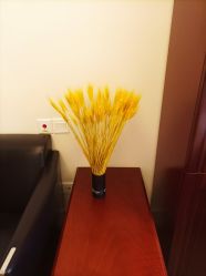 -爱莎扁平疣·汗管瘤·斑痣中心
