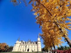 -北京张裕爱斐堡酒庄