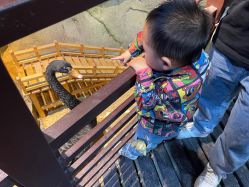 -酷嗒动物文化乐园(cutezoo西溪乐天城店)