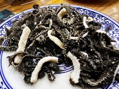 百叶-东兴顺爆肚张