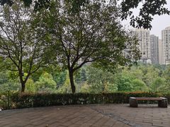 -龙头寺公园