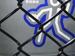 -运动派(北京店)