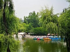 -莲湖公园