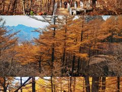 -崂山巨峰游览区