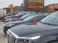 -正宗高流河饭店原创风姜鸡