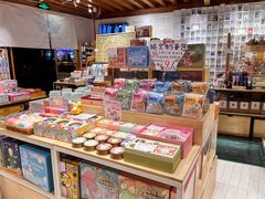 -猫的天空之城概念书店(丽江古城饮玉巷店)