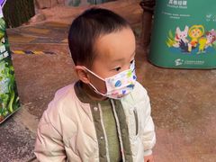 -正佳雨林生态植物园
