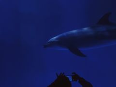 -多彩贵州城极地海洋世界