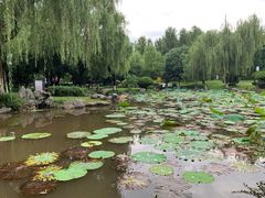 -孝子祠公园
