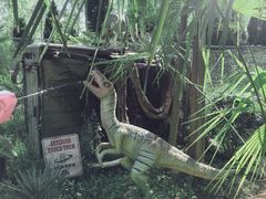 -合肥滨湖国家森林公园