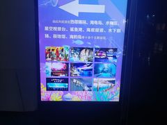 -泉城欧乐堡海洋极地世界