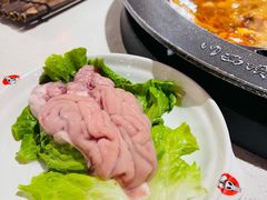 -川西坝子(苏州城市生活广场店)