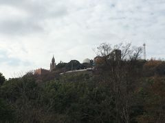 -上海佘山国家森林公园西佘山园