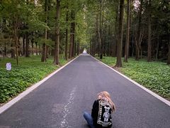 -东平国家森林公园