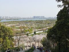 -苏州上方山国家森林公园