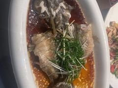-陶缘一号·四季缘·老字号顺德菜·户外婚礼家宴(西滘店)